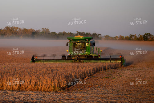 Soybean Harvest 185227