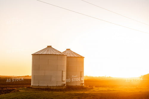 Bins at Sunset 185161