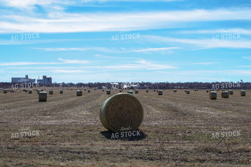 Hay Bales with Flour Mill 60008