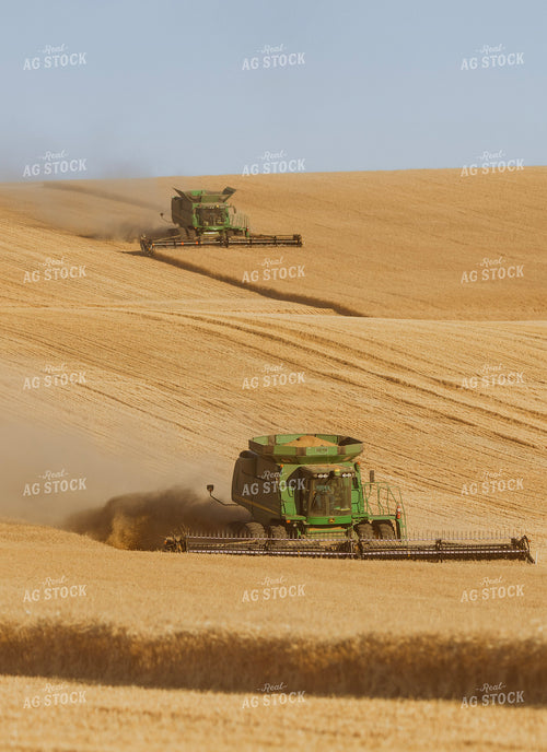 Wheat Harvest 187284