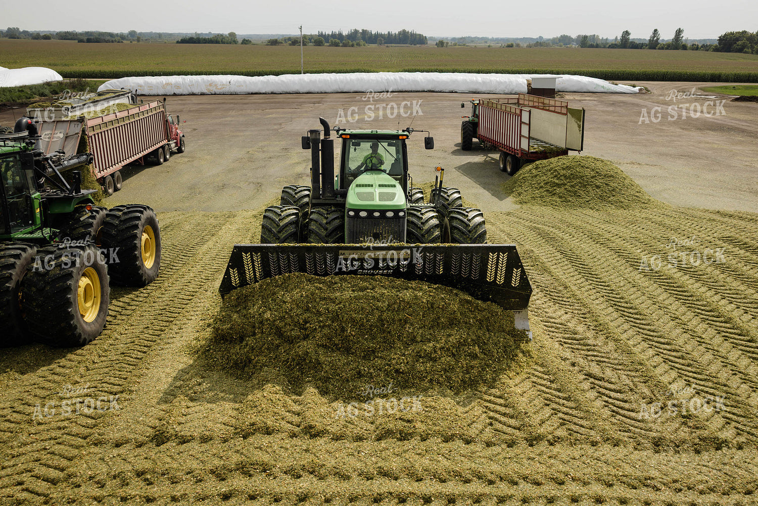Packing Corn Silage 152945