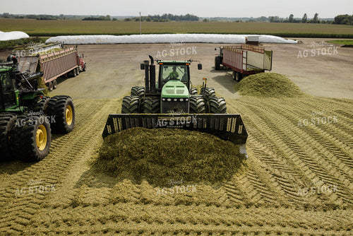 Packing Corn Silage 152945