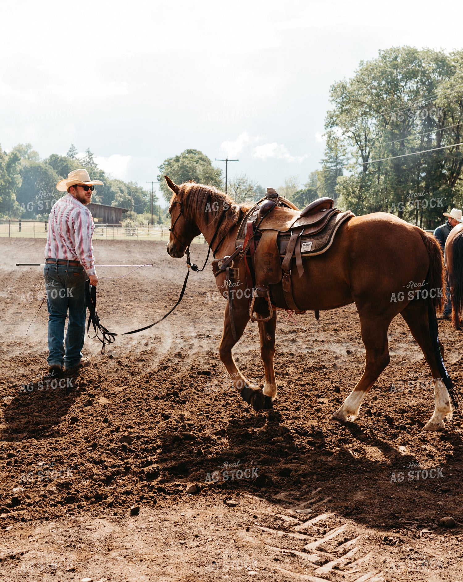 Rancher Leading Horse 232001