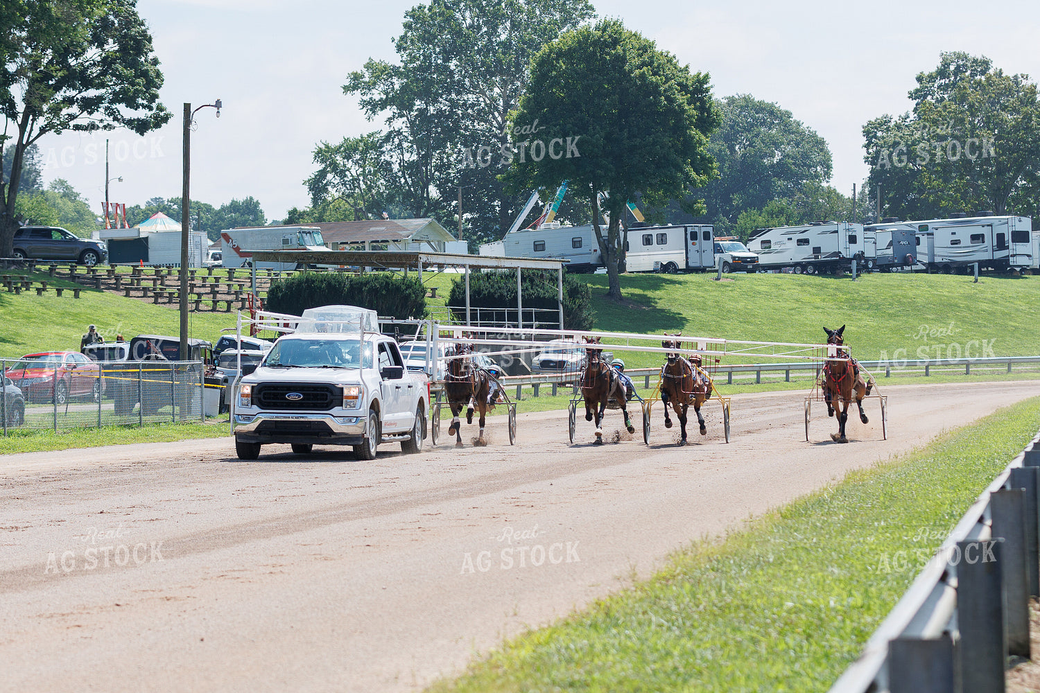 Harness Racing 52928