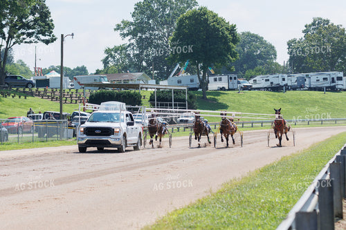 Harness Racing 52928