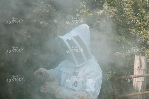 Beekeeper Handling honey bees 125033