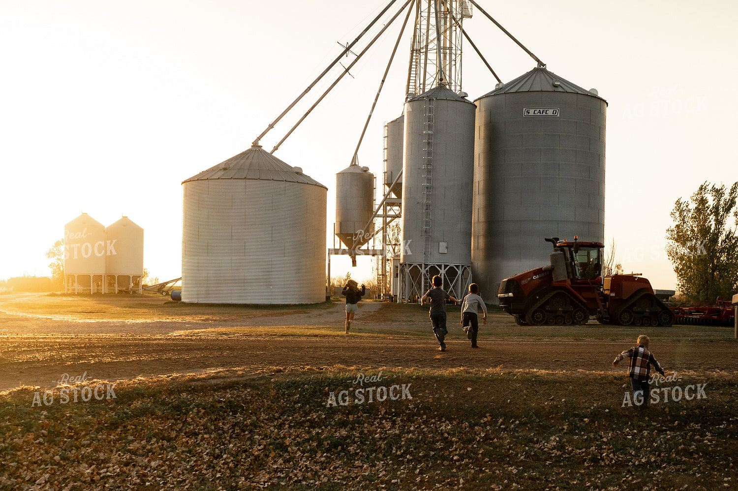 Farm Kids Playing 185252