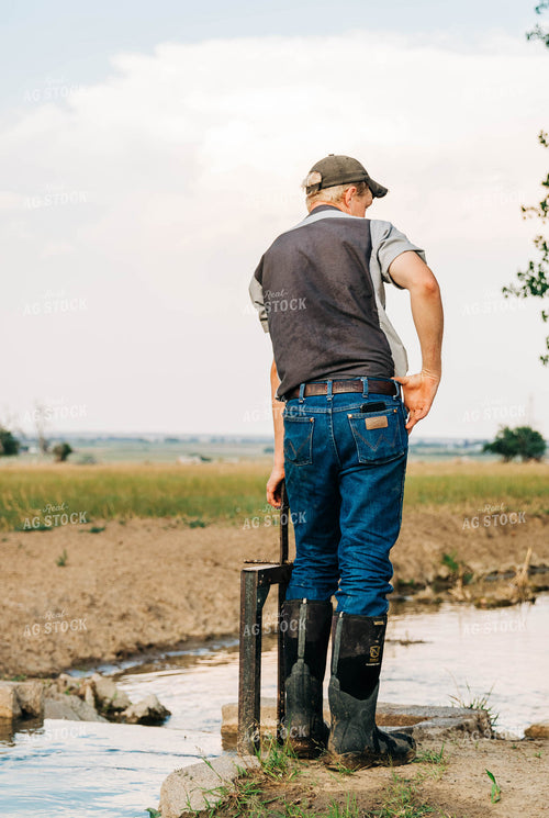 Farmer with Ditch Irrigation 61038