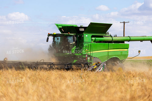 Wheat Harvest 187271