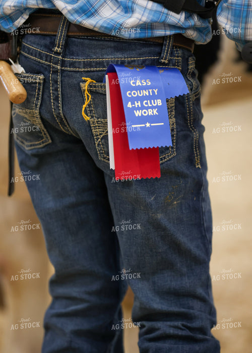 4-H Ribbons 160078