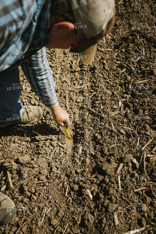Farmer Checking Seed Depth 4281