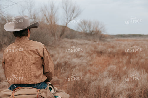 Cowboy on Horseback 205145