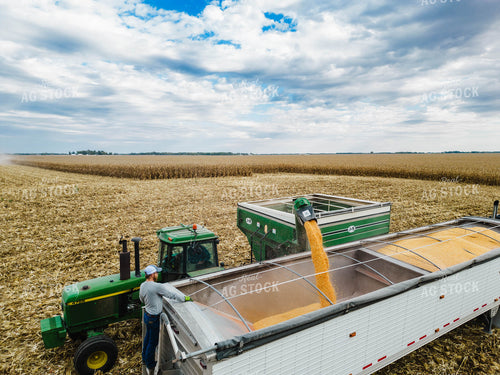 Corn Harvest 115104