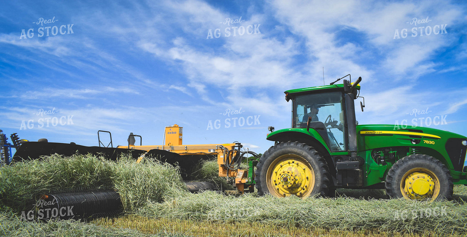 Wheat Hay Harvest 56119