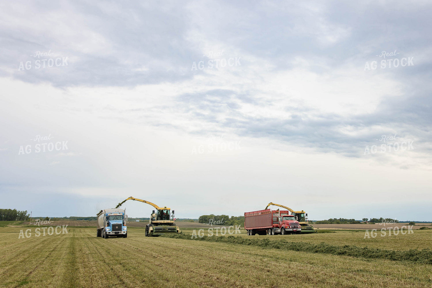 Harvesting Haylage 152796