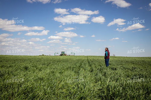 Walking through Cover Crops 67689
