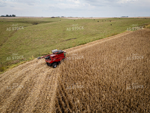 Aerial of Corn Harvest 268140