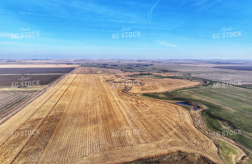 Aerial of Corn Harvest 141085