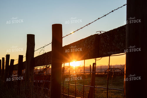 Sunset through Fence 67819