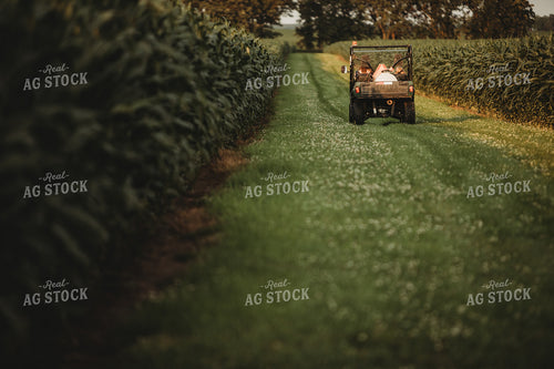 Farm Kids in UTV Alongside Corn Fields 4545