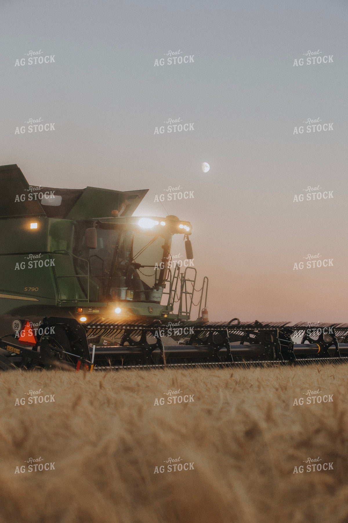 Wheat Harvest 187395