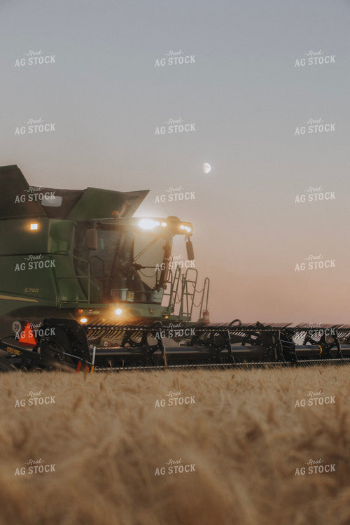 Wheat Harvest 187395