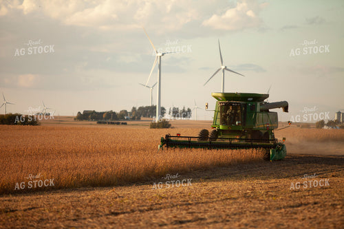 Harvest 1802