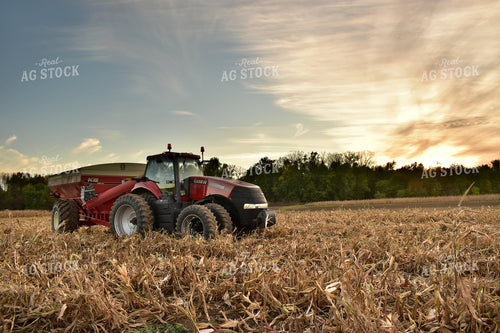 Grain Cart in Corn Field 84048