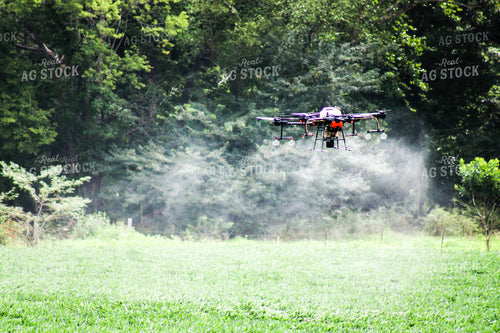 Drone Spraying Field 101016