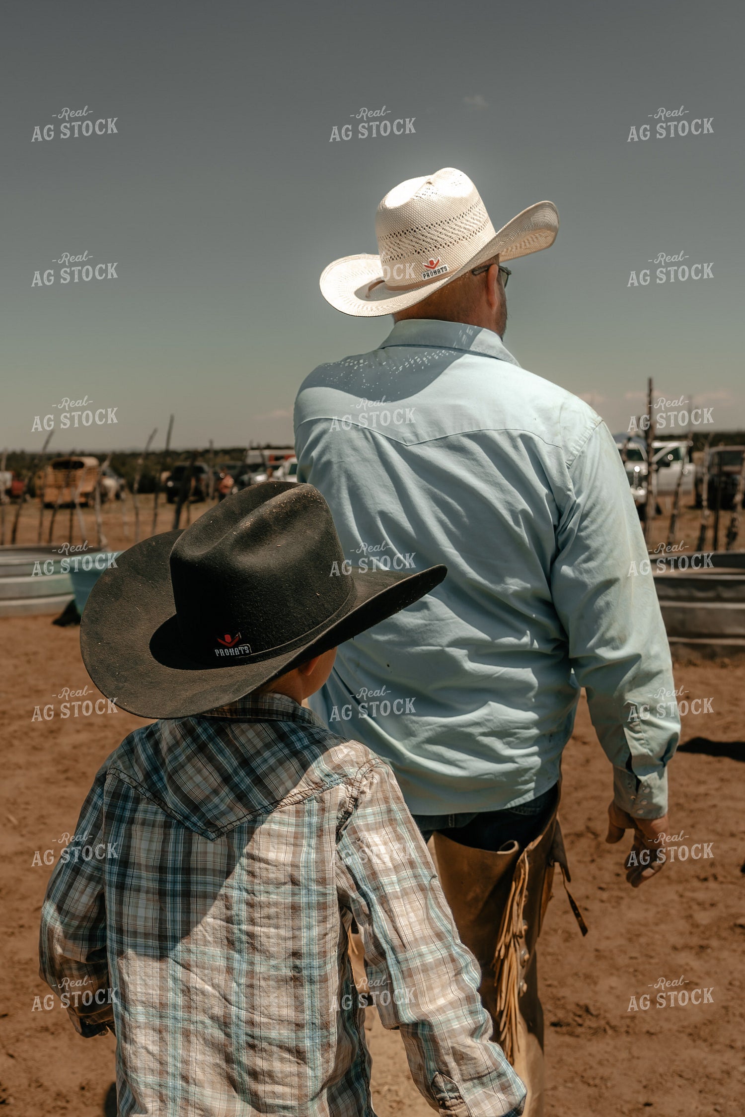 Rodeo 58243