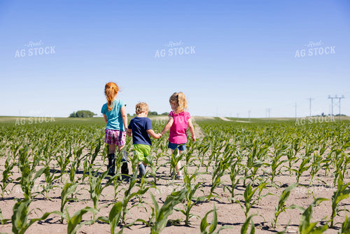 Farm Kids in Early Corn Field 152469