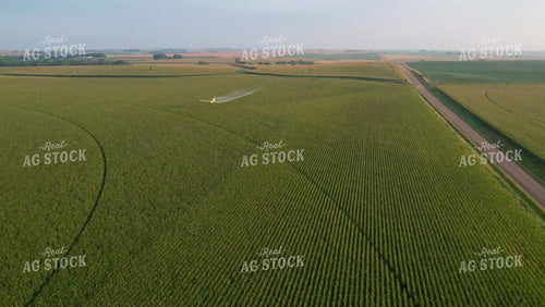 Crop Duster Spraying Corn Field 65194