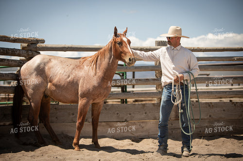 Training Colts 78236