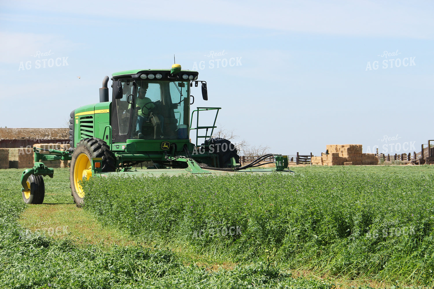 Harvesting Alfalfa 105017