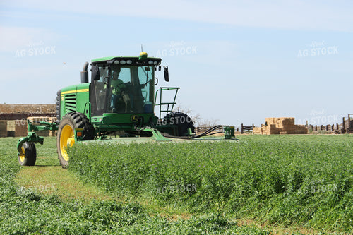Harvesting Alfalfa 105017
