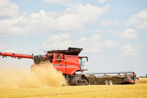 Red Combine Harvester in Field 216021