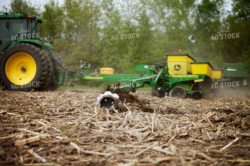Planting 1981