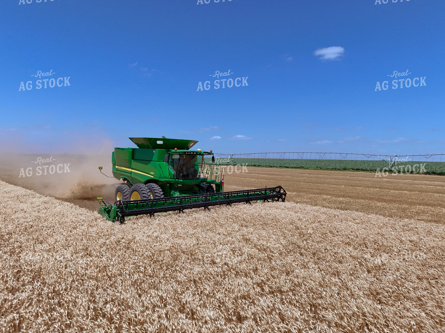 Wheat Harvest 239272