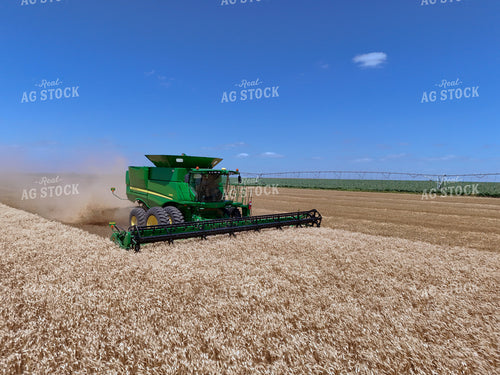 Wheat Harvest 239272