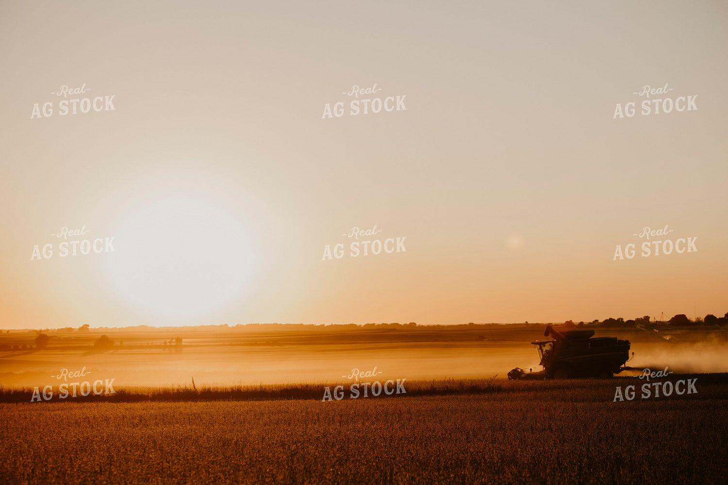Harvest 2594