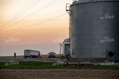 Farmer Working at Grain Bin Site during Harvest 25796