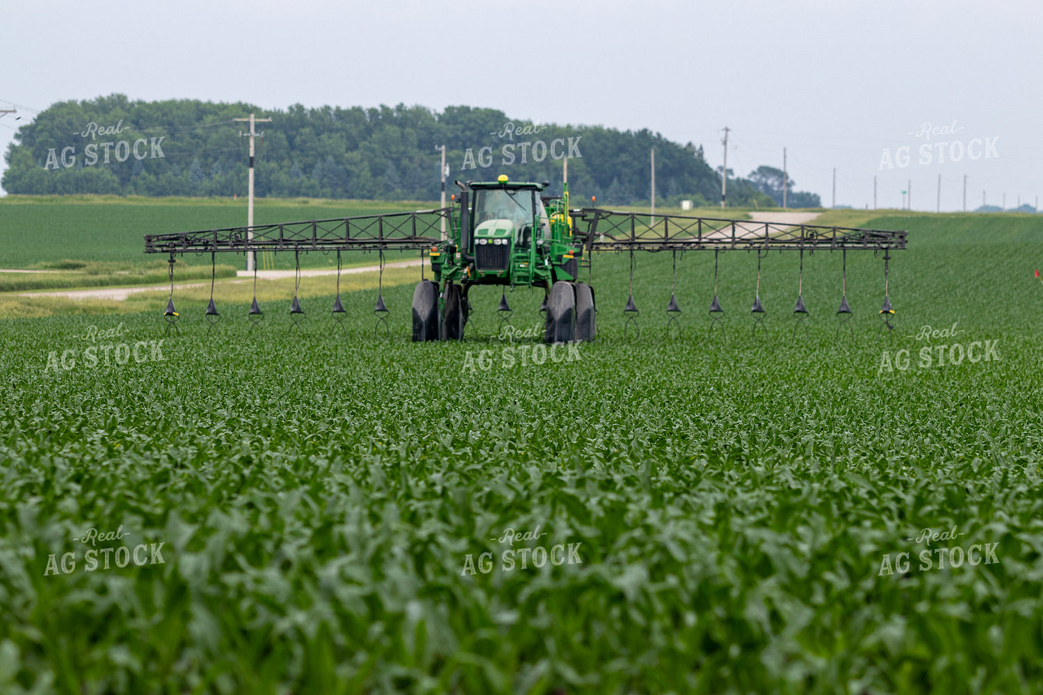 Spraying Corn 257021