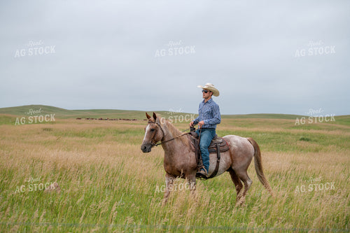 Rancher on Horseback 212107