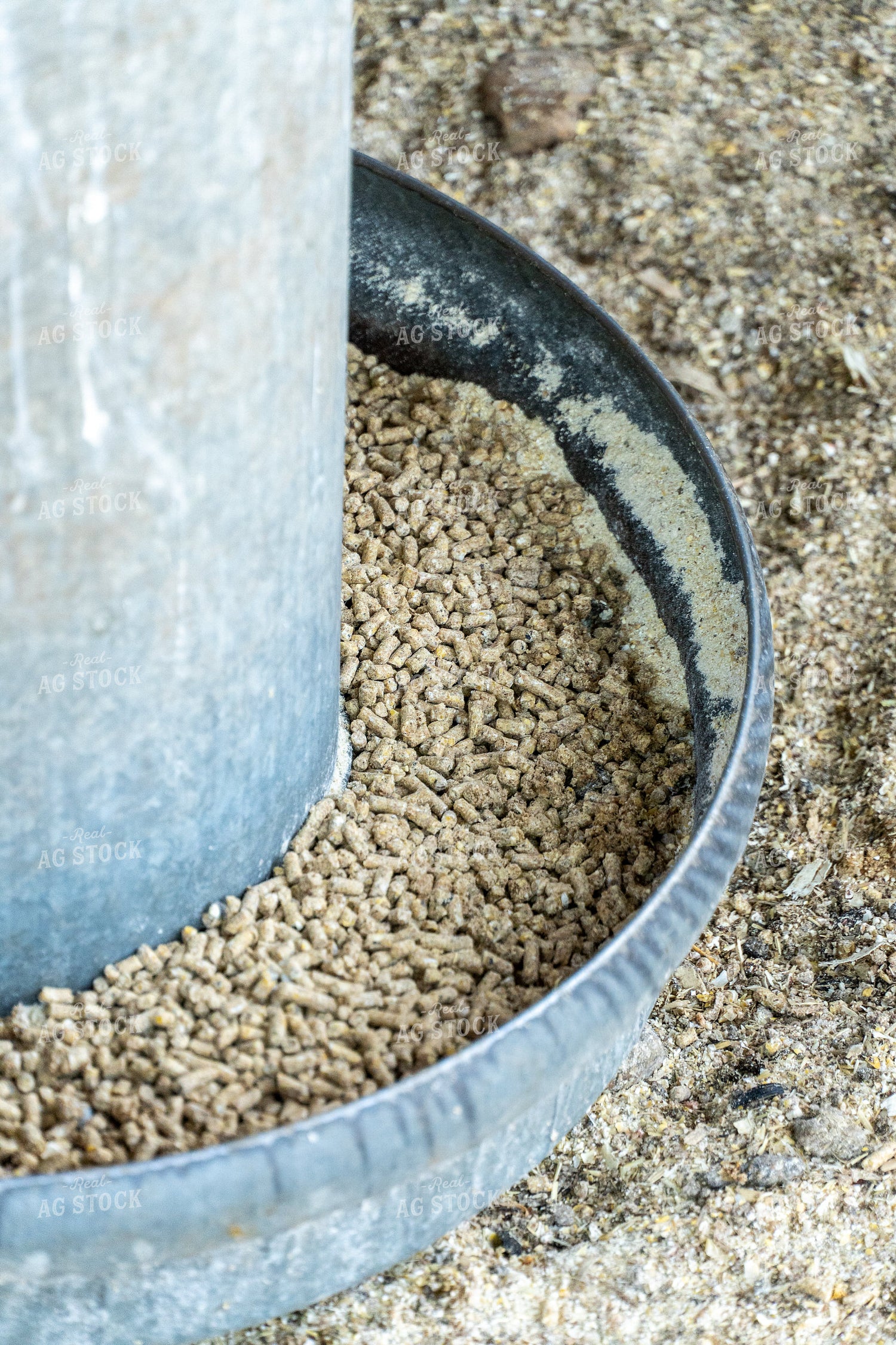 Poultry Layer Feed 65630