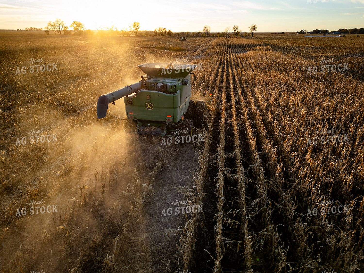 Aerial of Corn Harvest at Sunset 268233