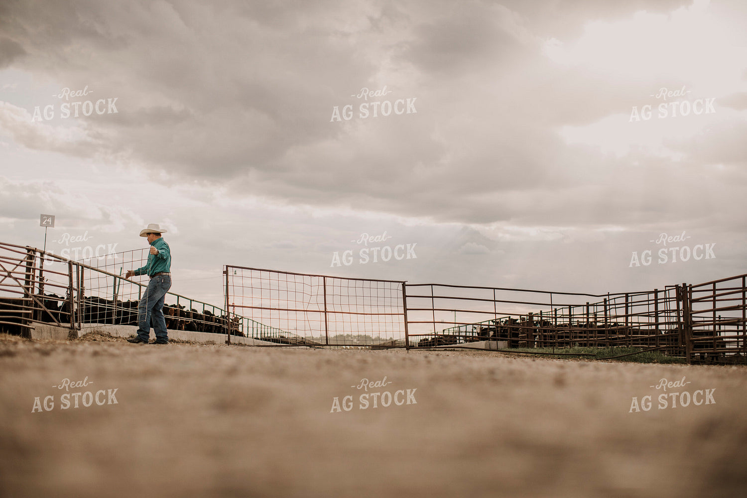 Feedyard 3049
