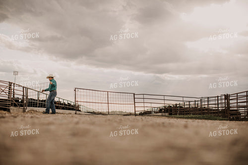 Feedyard 3049