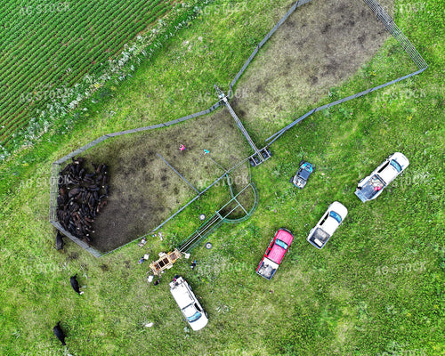Overhead of Cattle Pen 141343