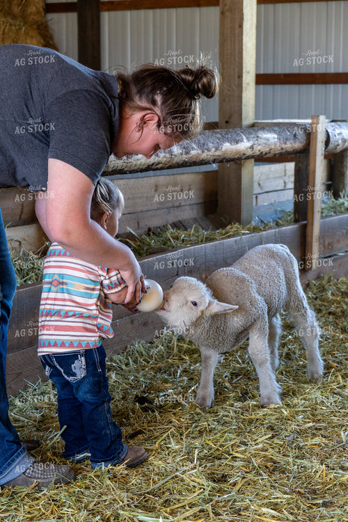 Farm Kid Bottle Feeding Lamb 65172