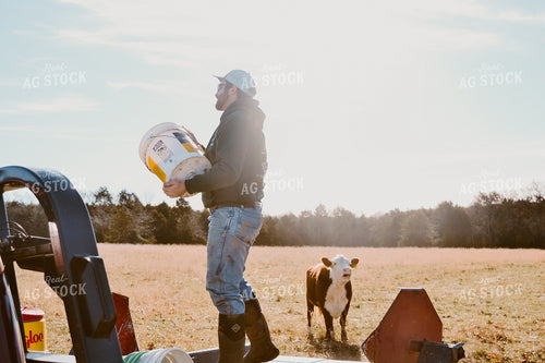 Farmer in Field with Calf 125046
